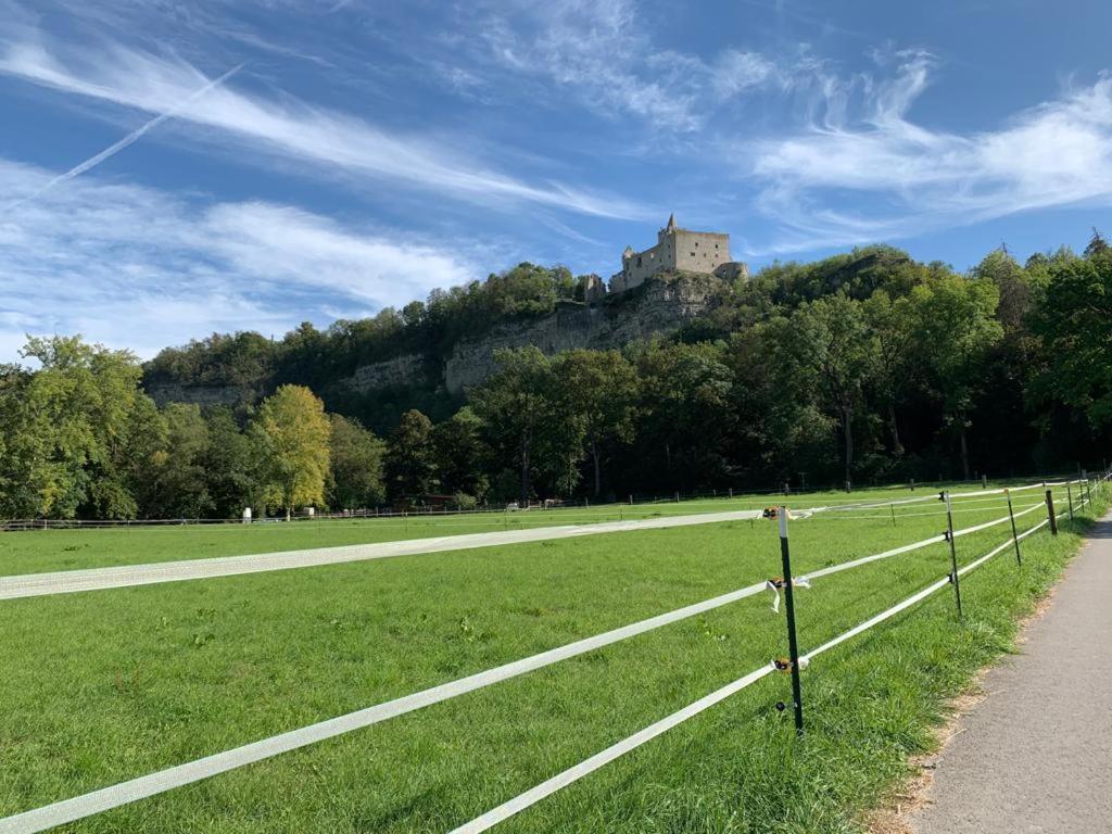 Hotel Garni Zum Rebstock Naumburg  Eksteriør bilde